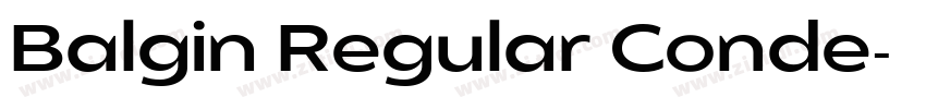 Balgin Regular Conde字体转换